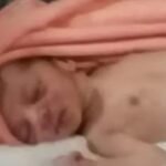 Newborn Found : मंदिर में मिला 3 दिन का लावारिस नवजात, रात में छोड़ भागे परिजन; CCTV खंगाल रही पुलिस